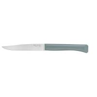 Нож столовый Opinel N°125, полимерная ручка, нерж, сталь, шалфей. 002195 фото
