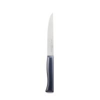Нож столовый Opinel №220, пластиковая рукоять, нержавеющая сталь, 002220 фото