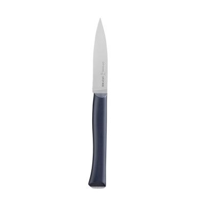 Нож столовый Opinel, Newintempor, пластиковая ручка, нерж, сталь. 002223 фото 1