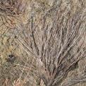 Камуфляжная лента многоразовая McNett Mossy Oak Brush фото навигации 2