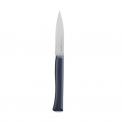 Нож столовый Opinel, Newintempor, пластиковая ручка, нерж, сталь. 002223 фото навигации 1